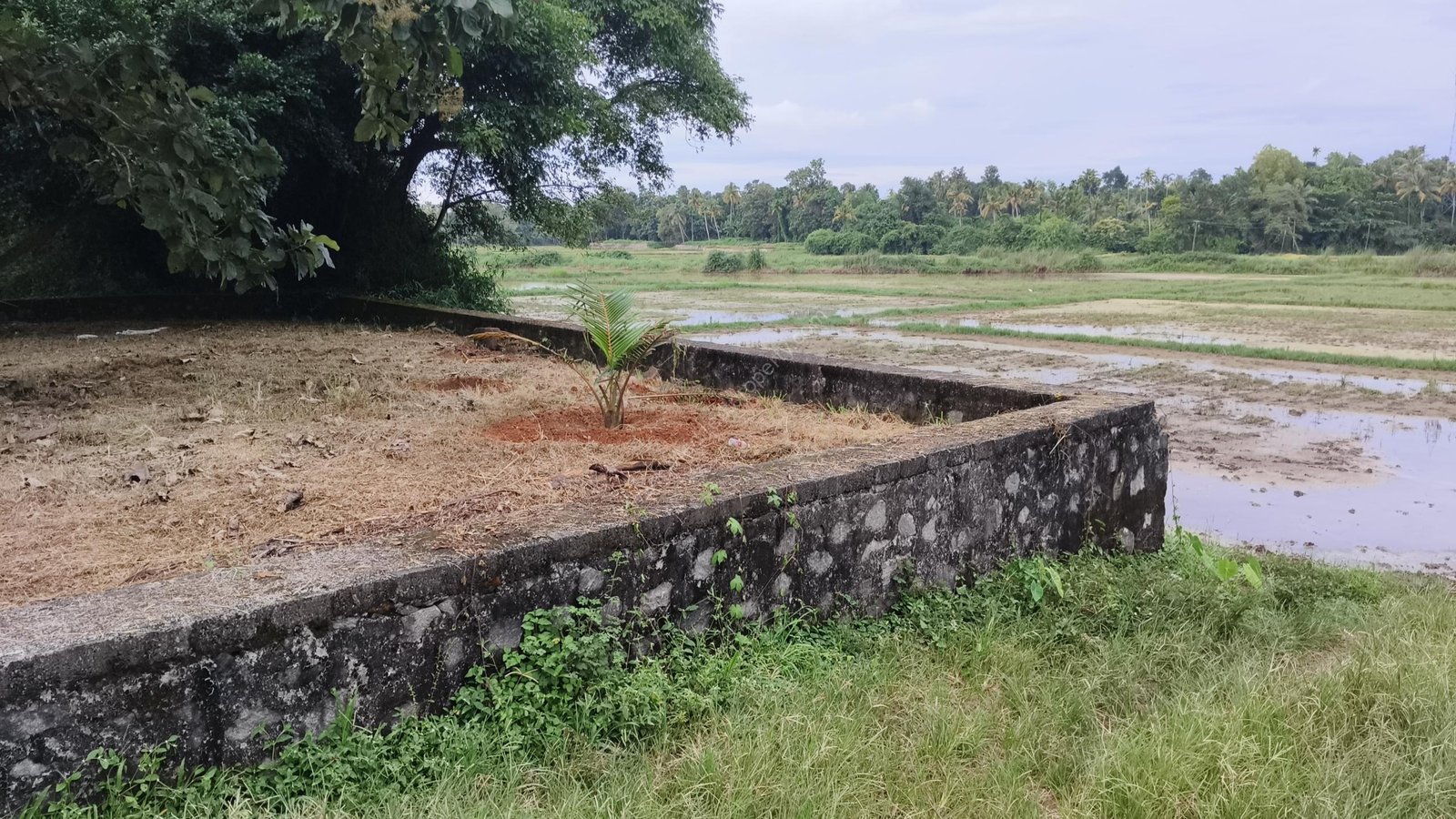 1000041360 House plot for sale in Chalakudy