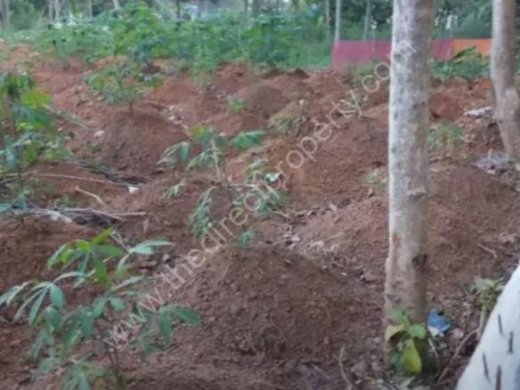 residential land for sale Aruvikkara Trivandrum