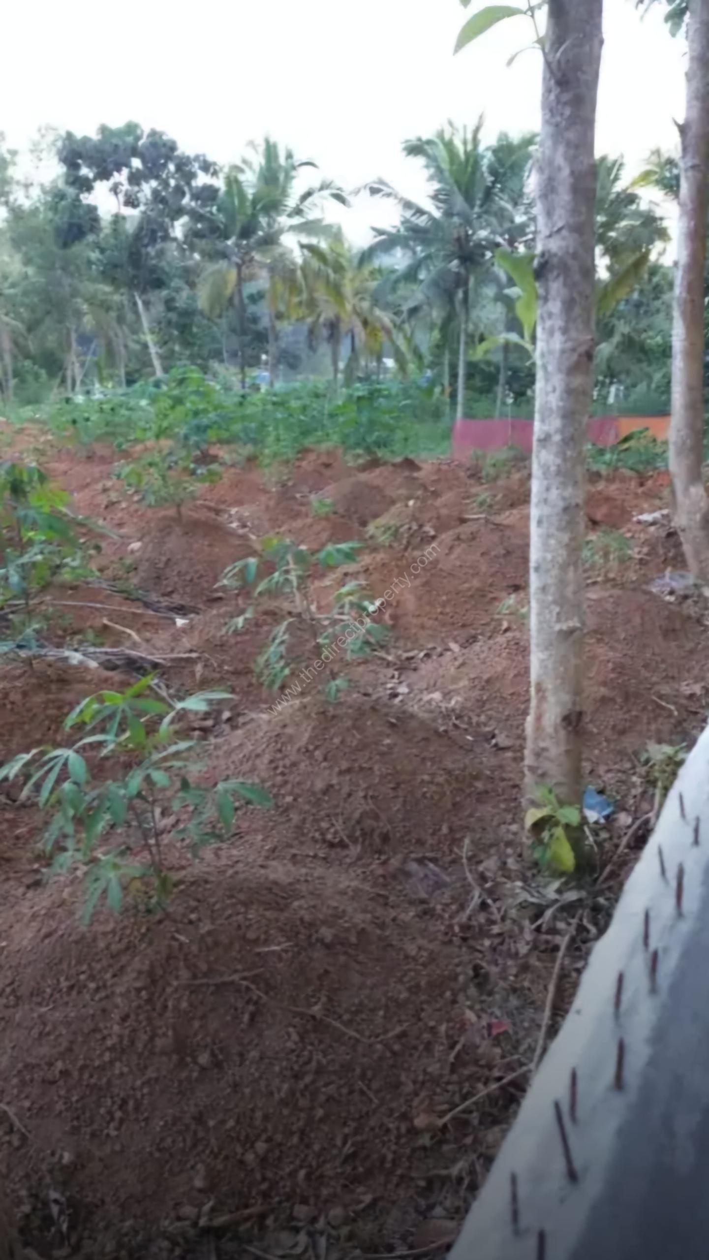 residential land for sale Aruvikkara Trivandrum