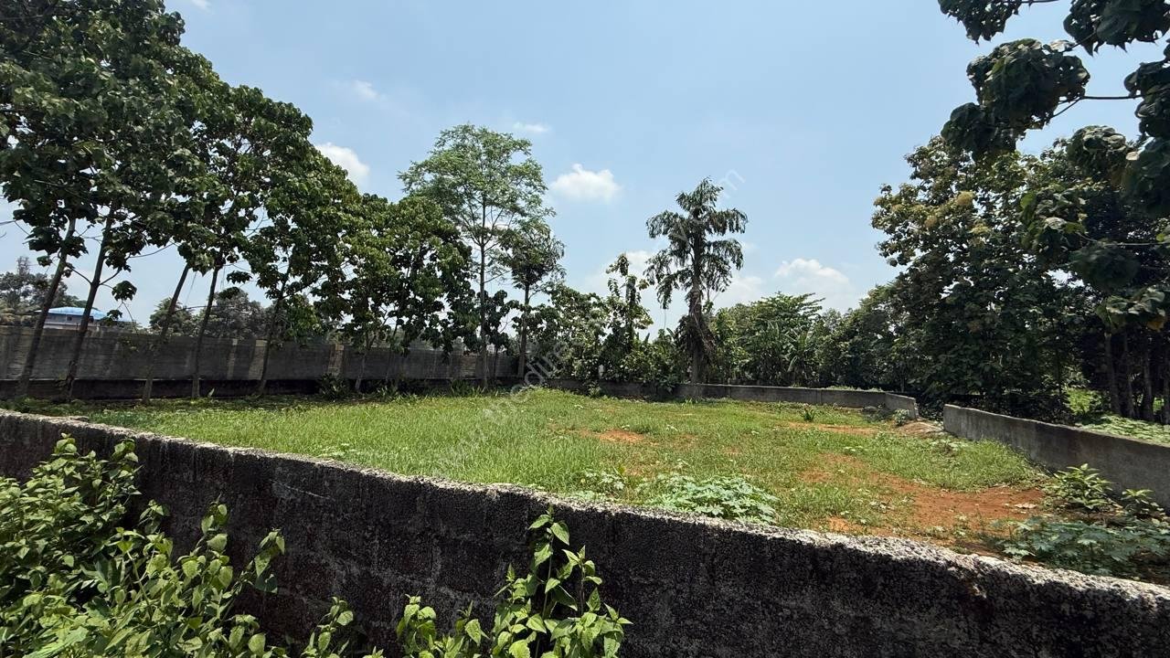 Land for sale at Aluva Perumbavoor