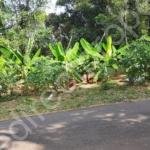 House plot for sale in Chalakudy