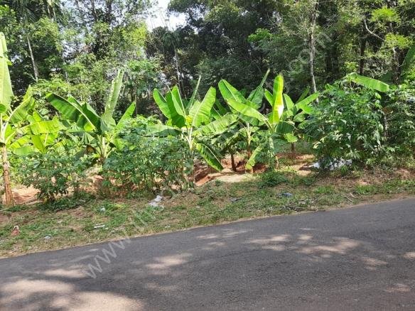 House plot for sale in Chalakudy