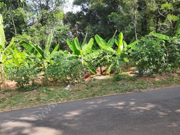 House plot for sale in Chalakudy