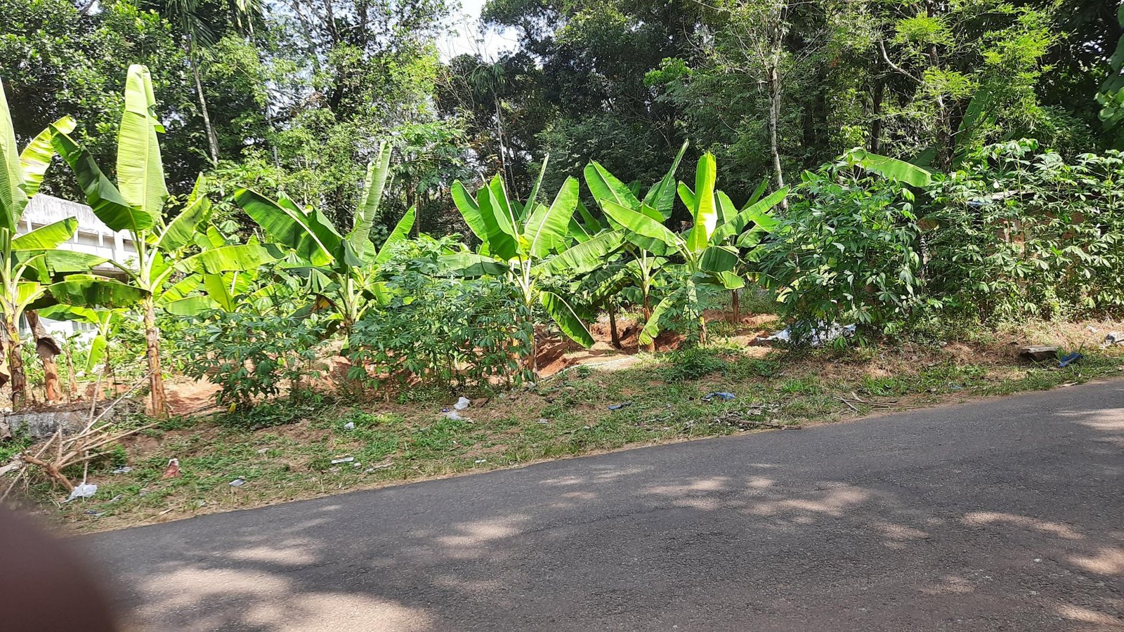 House plot for sale in Chalakudy