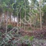 Land for Sale in Chengalam