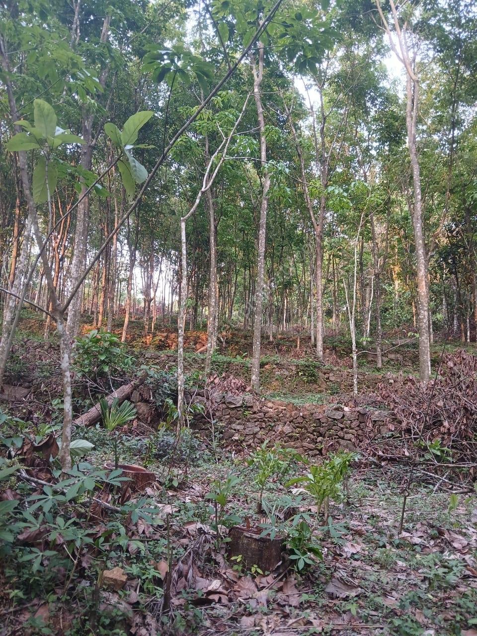 Land for Sale in Chengalam