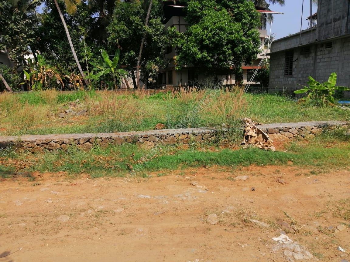 Avenueroad6cents57lakhs