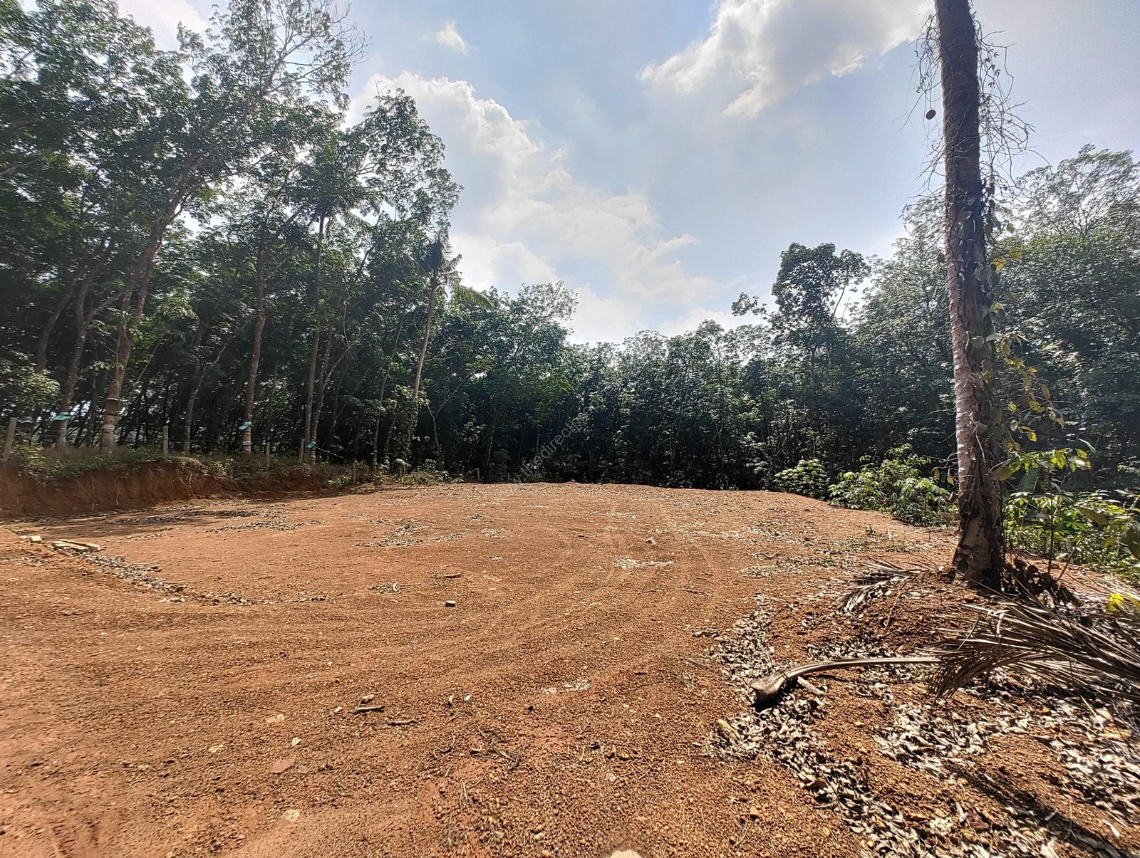 IMG-20250318-WA0005 Residential Plot for sale Kolenchery Ernakulam