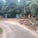 Residential Land for sale in Chalakudy Vettukadavu