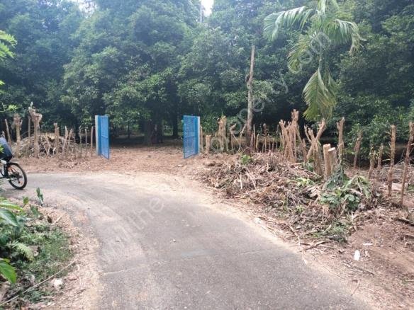 Residential Land for sale in Chalakudy Vettukadavu