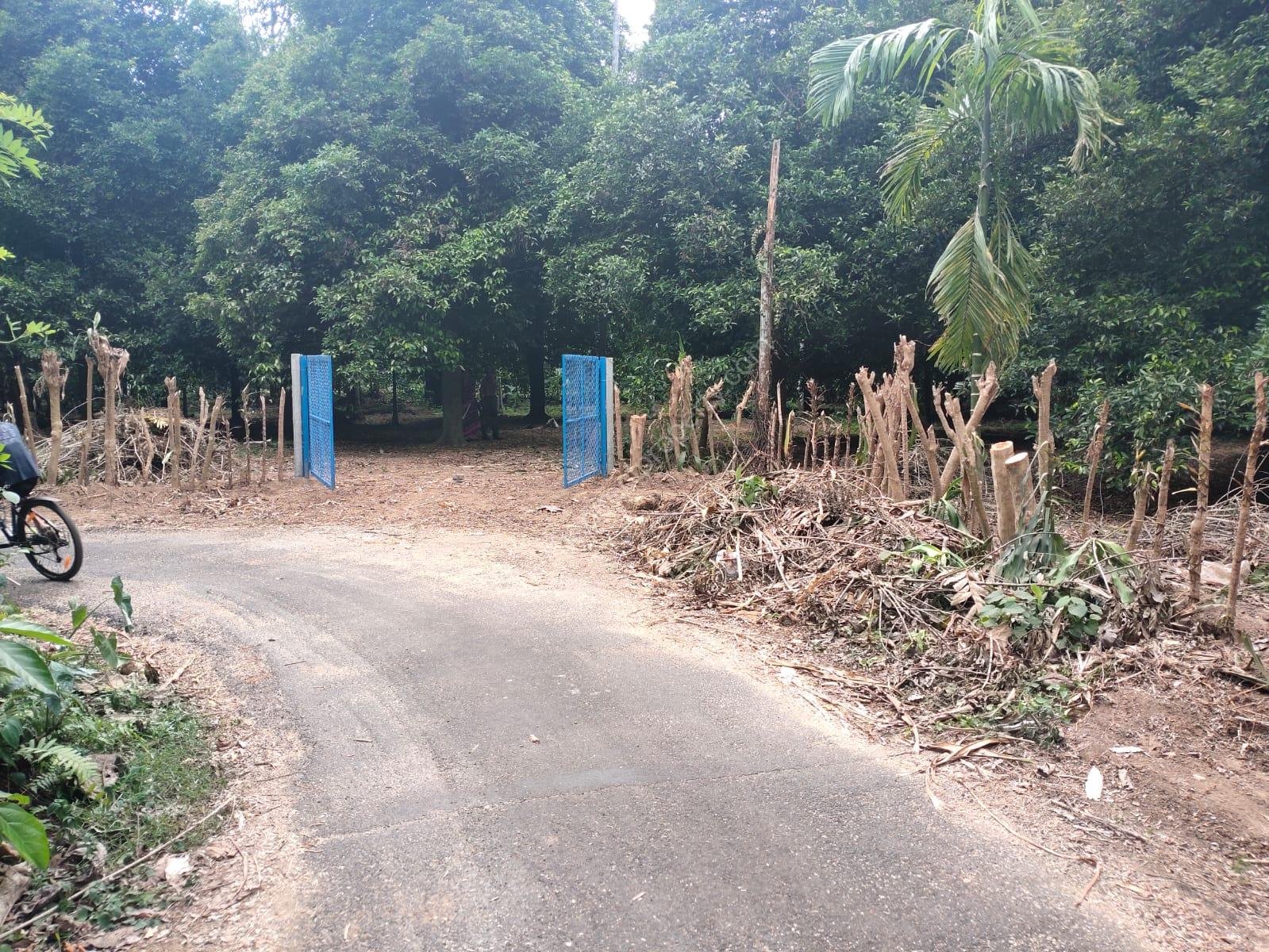Meloor Photo1 Residential Land for sale in Chalakudy Vettukadavu
