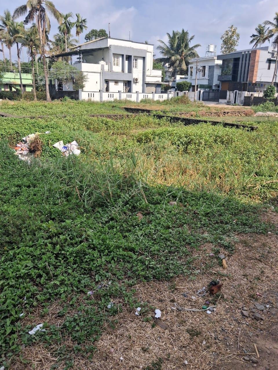 WhatsApp Image 2025-03-10 at 4.26.35 PM