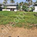 Villa plot for sale Near Aluva u. c. college