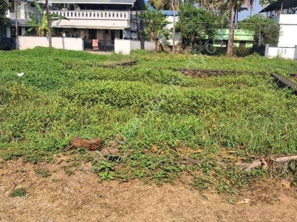 Villa plot for sale Near Aluva u. c. college