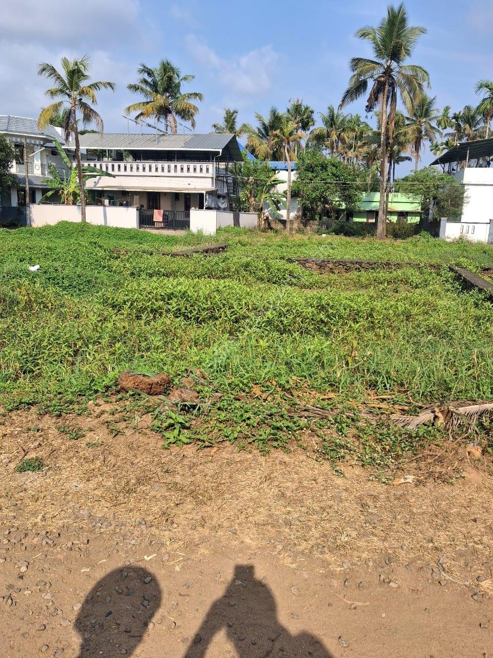 Villa plot for sale Near Aluva u. c. college