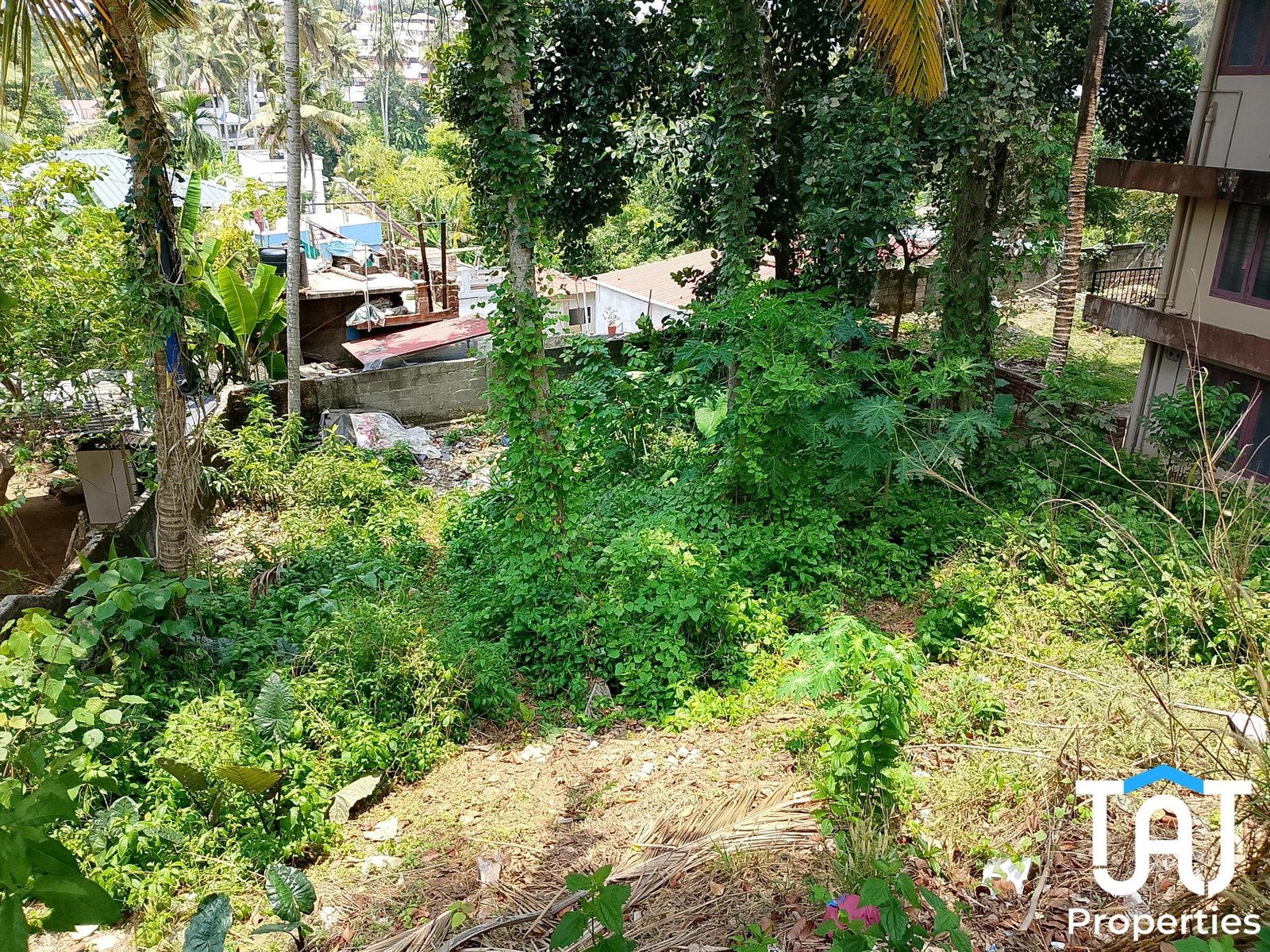 WhatsApp Image 2025-04-04 at 3.41.08 PM