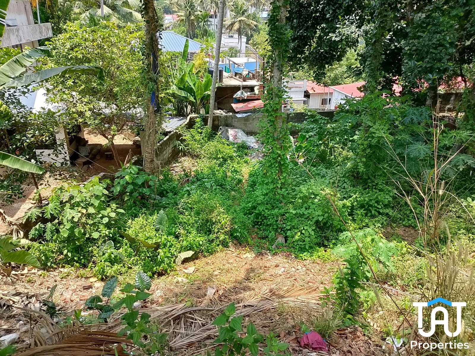 WhatsApp Image 2025-04-04 at 3.41.13 PM