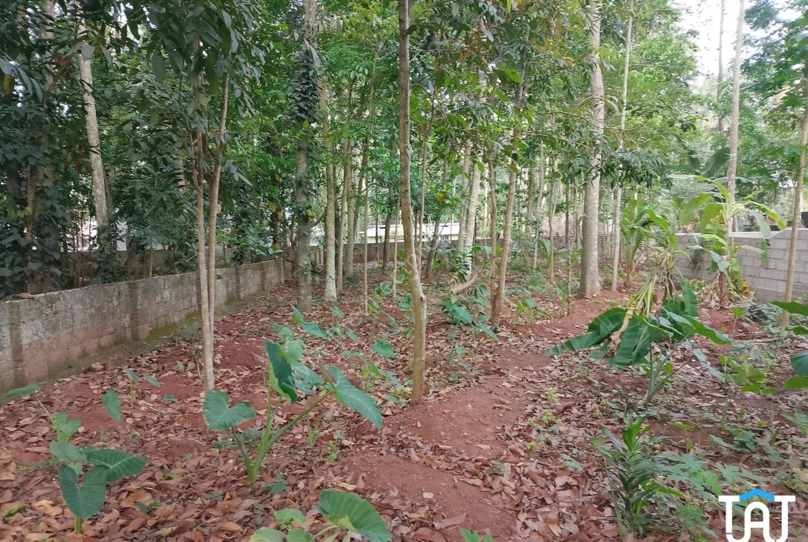 Land For Sale in Kanjiramkulam