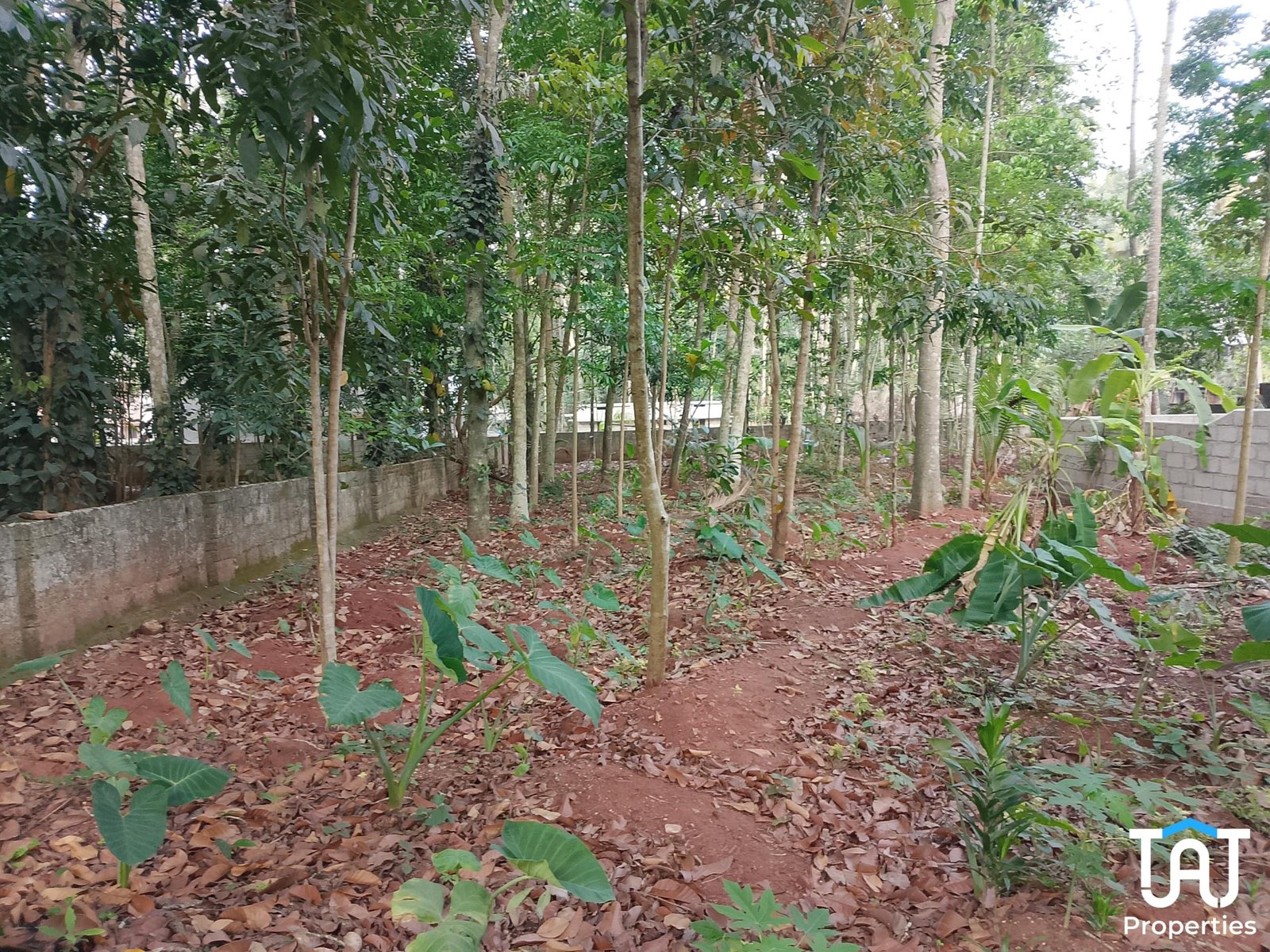 WhatsApp Image 2025-04-17 at 2.53.15 PM Land For Sale in Kanjiramkulam