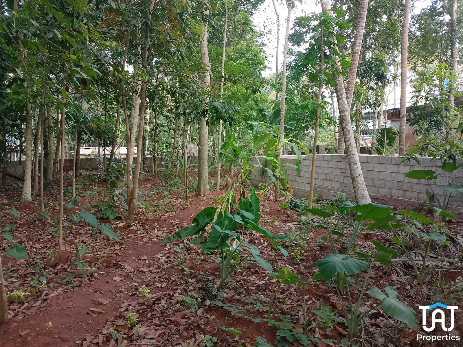 WhatsApp Image 2025-04-17 at 2.53.19 PM