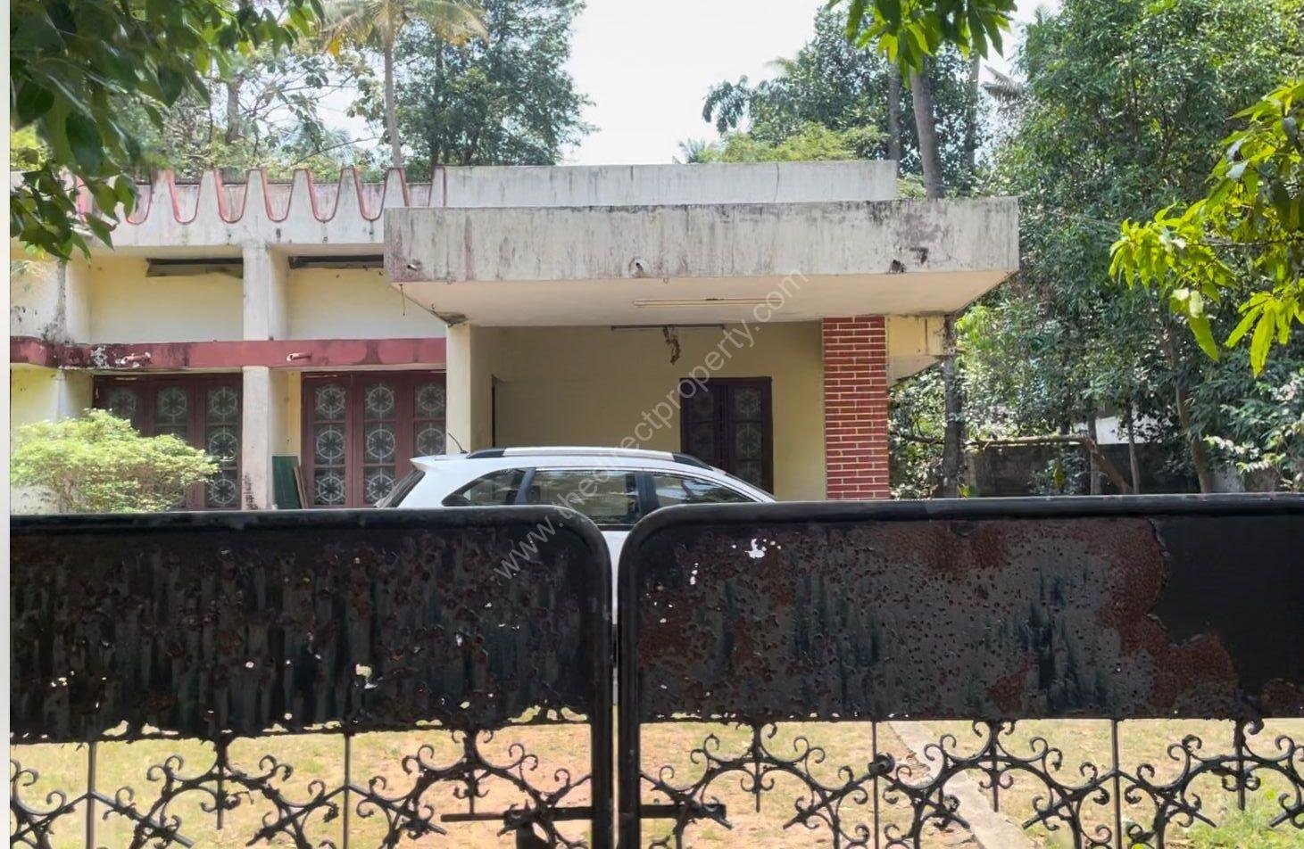 WhatsApp Image 2025-04-22 at 11.08.01 AM