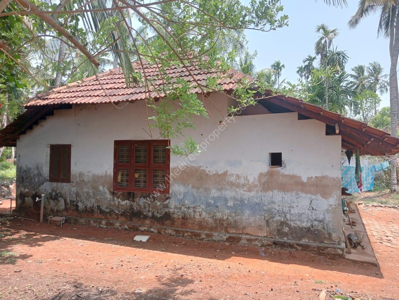 WhatsApp Image 2025-04-22 at 13.12.25_f8399227