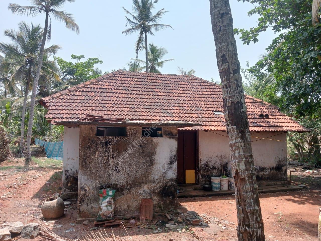 WhatsApp Image 2025-04-22 at 13.12.27_8c8439b4