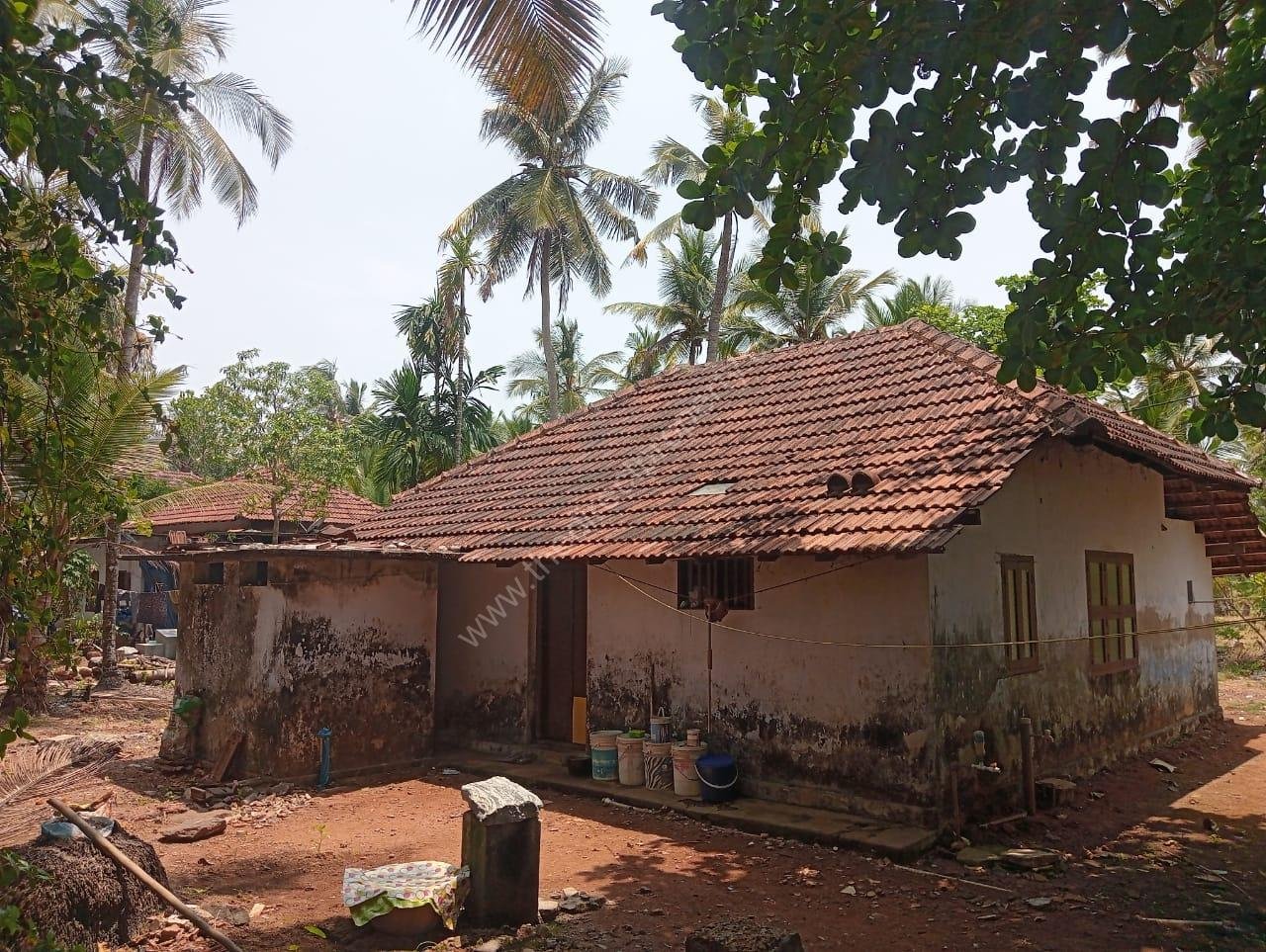 WhatsApp Image 2025-04-22 at 13.12.27_cb1be01c