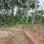 Land for sale in Koithoorkonam Trivandrum