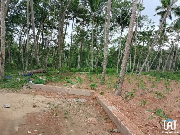 Land for sale in Koithoorkonam Trivandrum