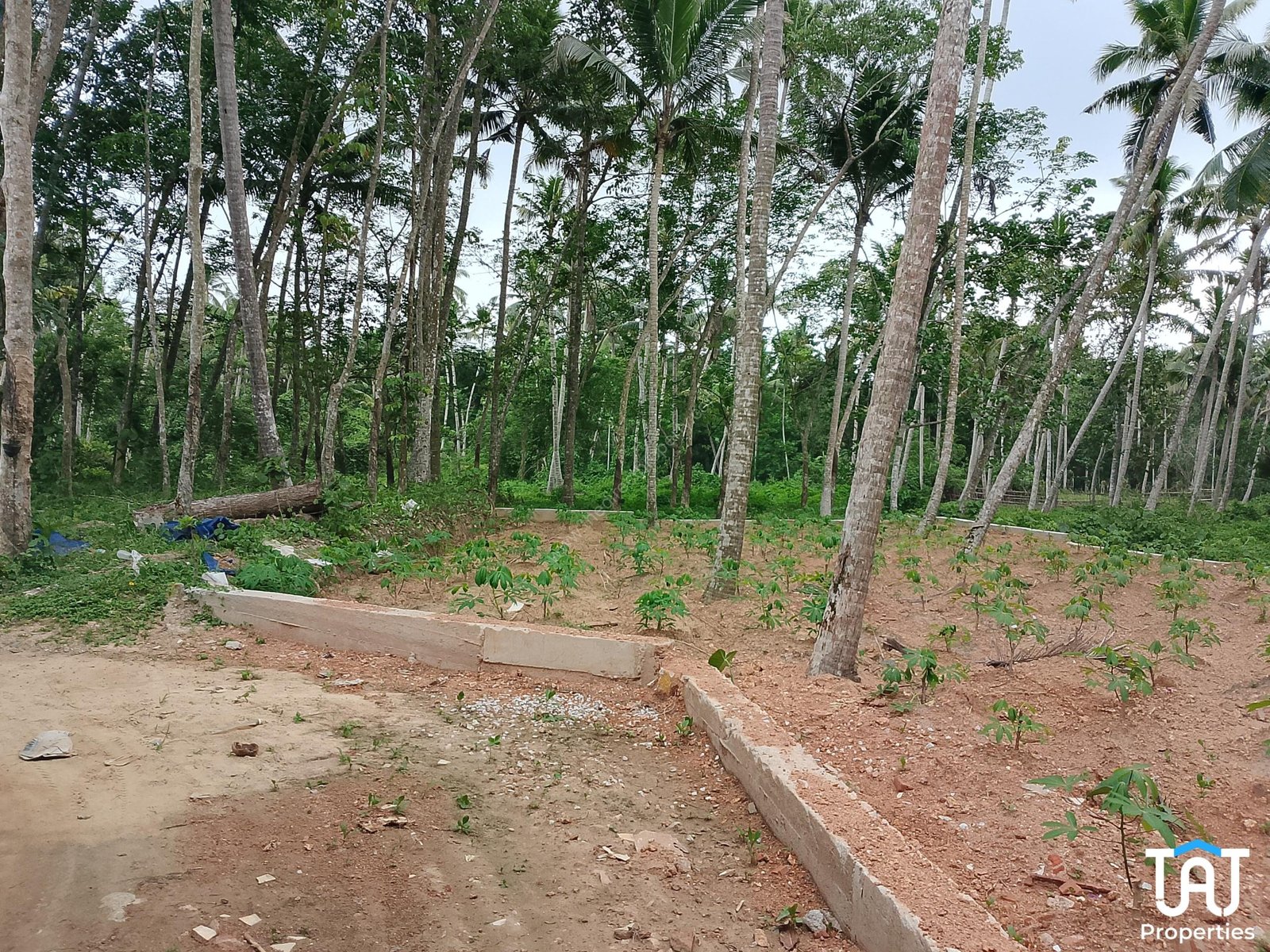 Land for sale in Koithoorkonam Trivandrum