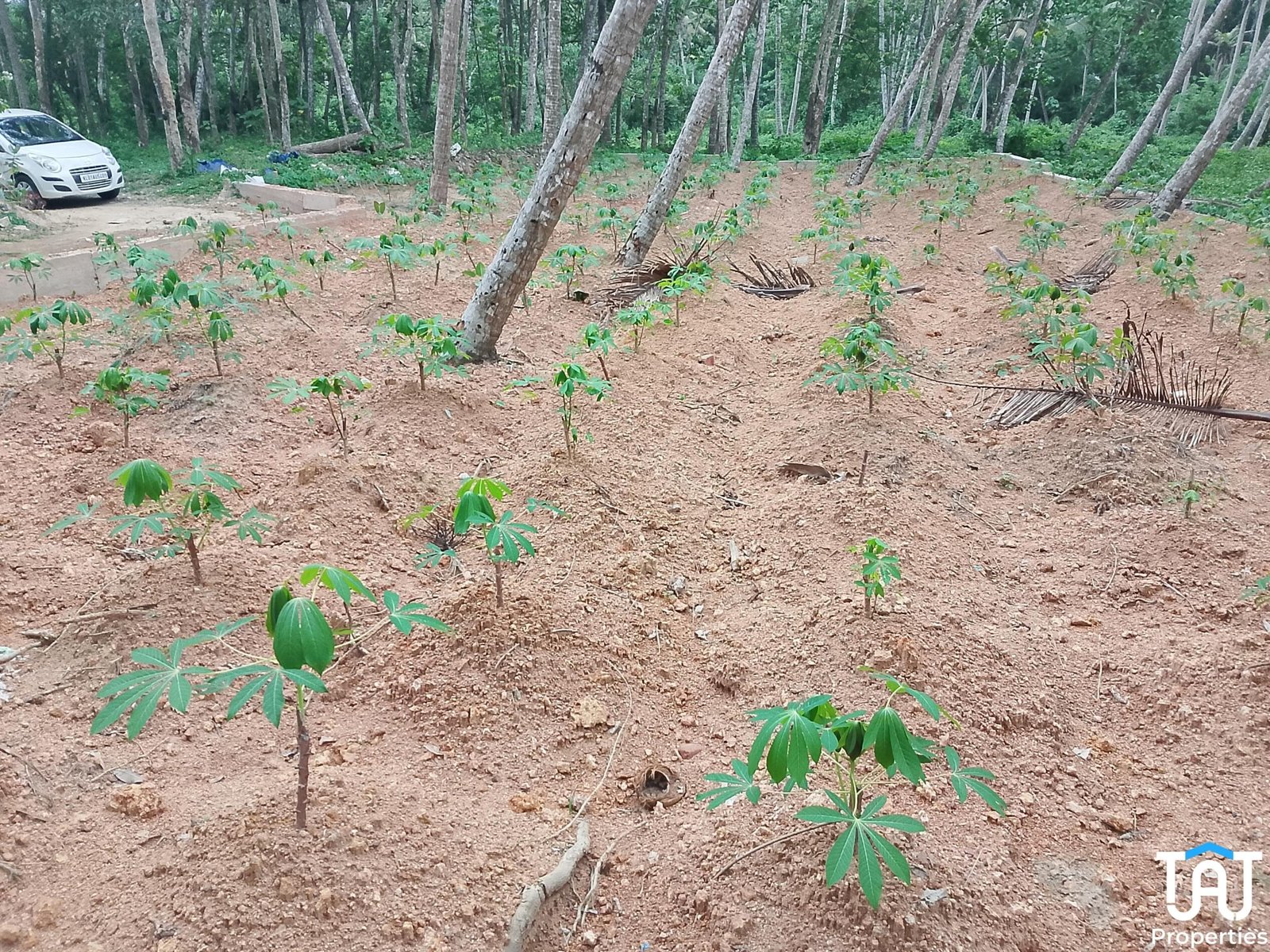 WhatsApp Image 2025-04-26 at 12.56.15 PM