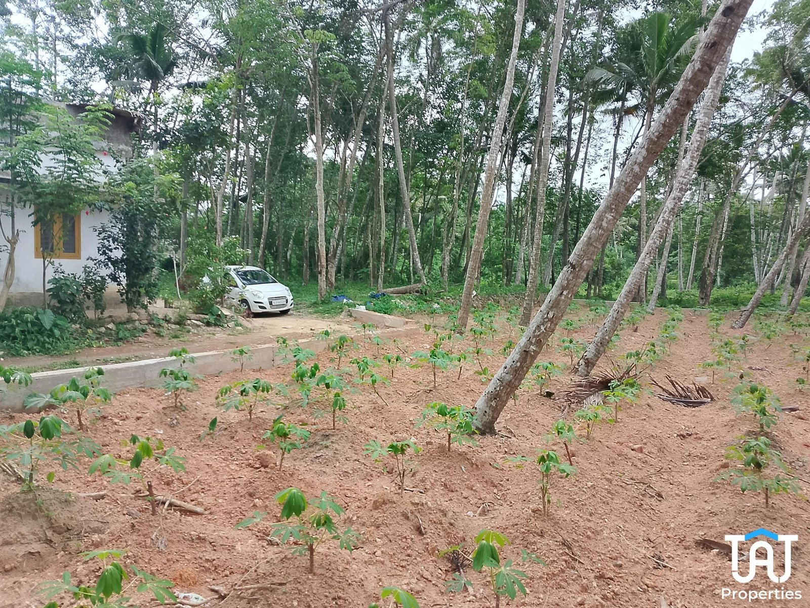 WhatsApp Image 2025-04-26 at 12.56.23 PM