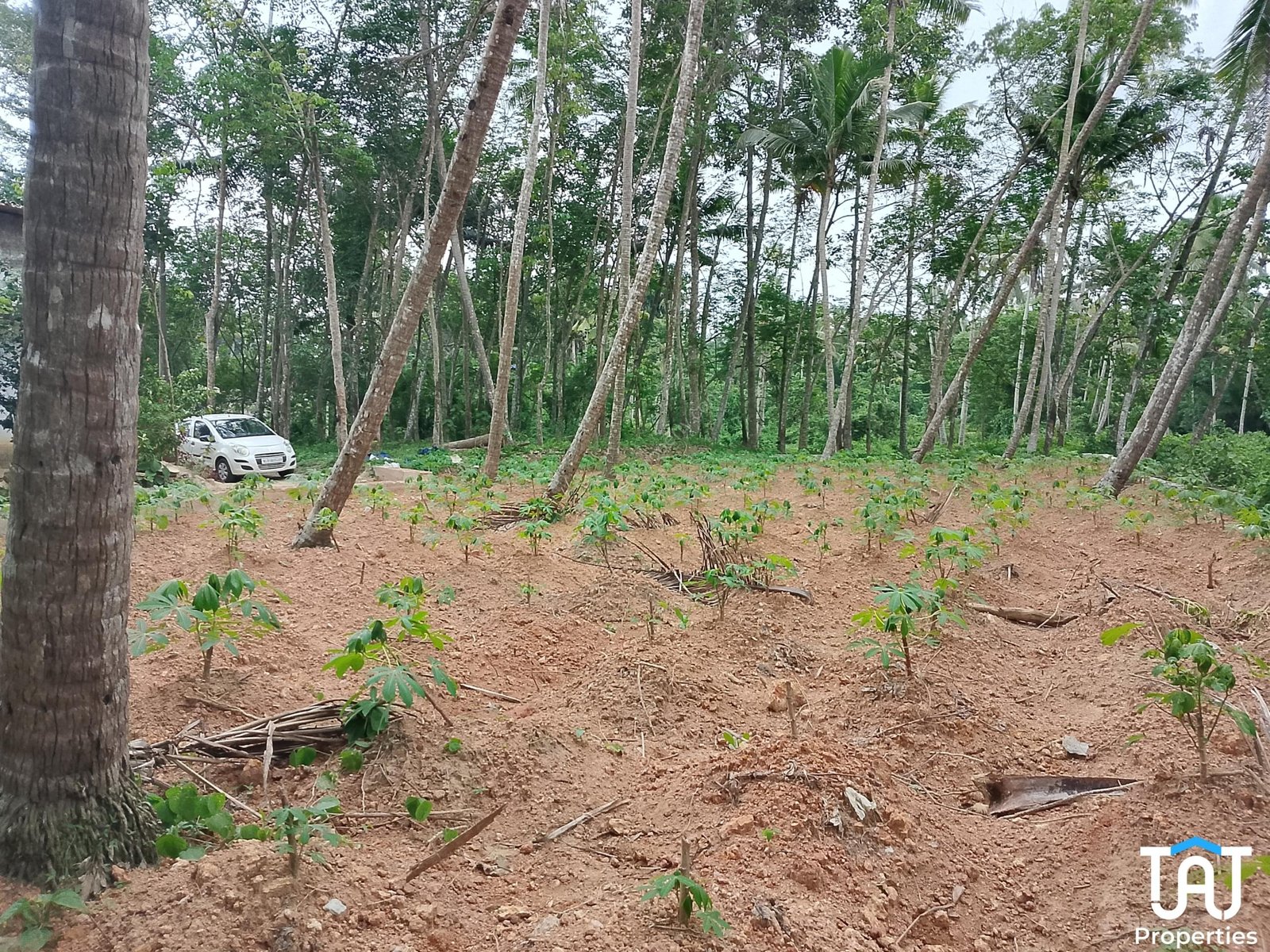 WhatsApp Image 2025-04-26 at 12.56.28 PM