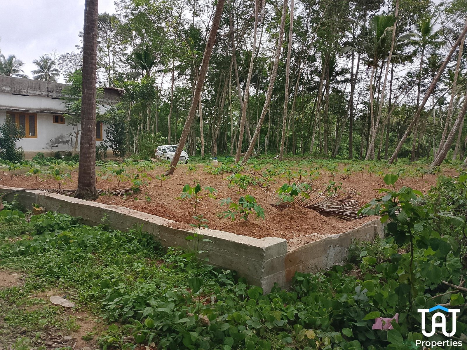 WhatsApp Image 2025-04-26 at 12.56.59 PM (1)