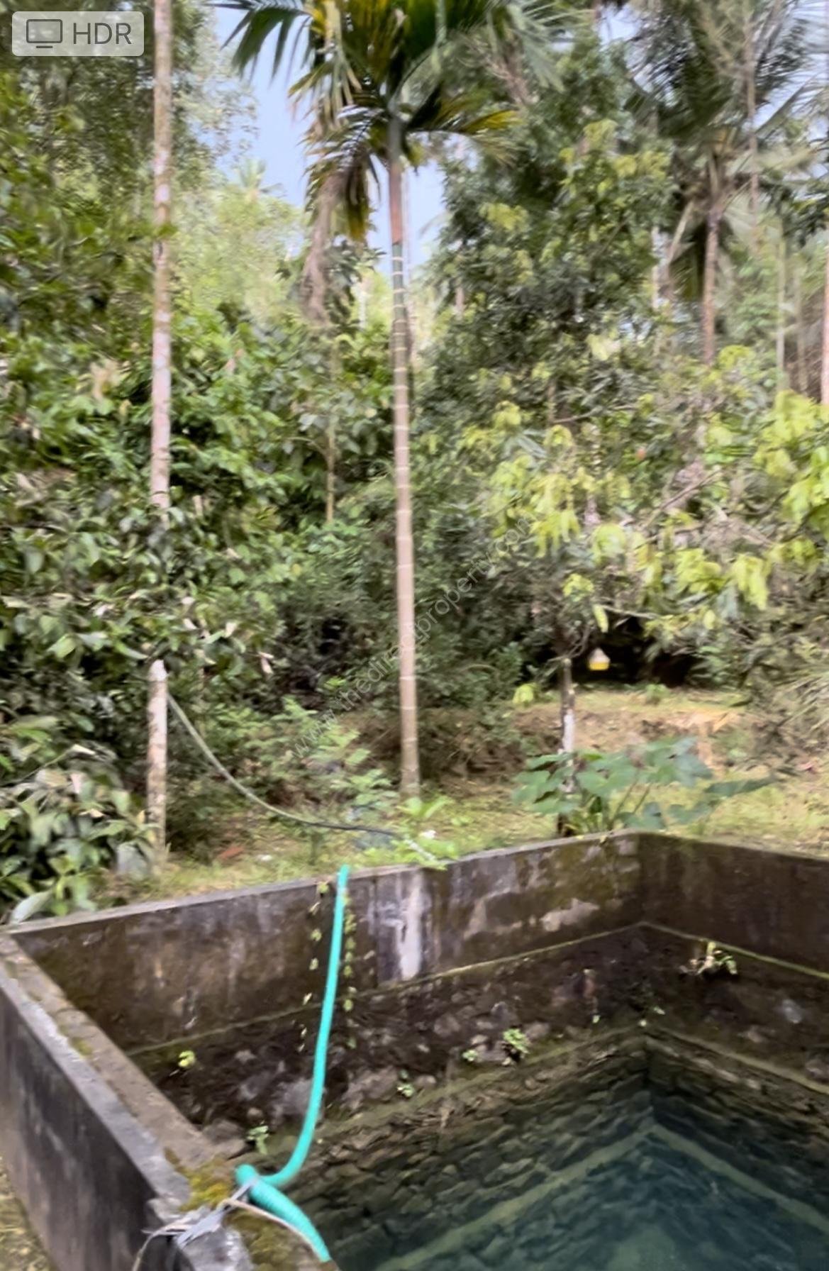 078636FD-2A2A-4AB9-8EDB-8B74C8FCD70C