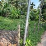 residential plot for sale in Thattarambalam