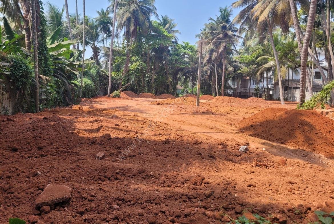 Residential & Commercial Plot nadakkavu