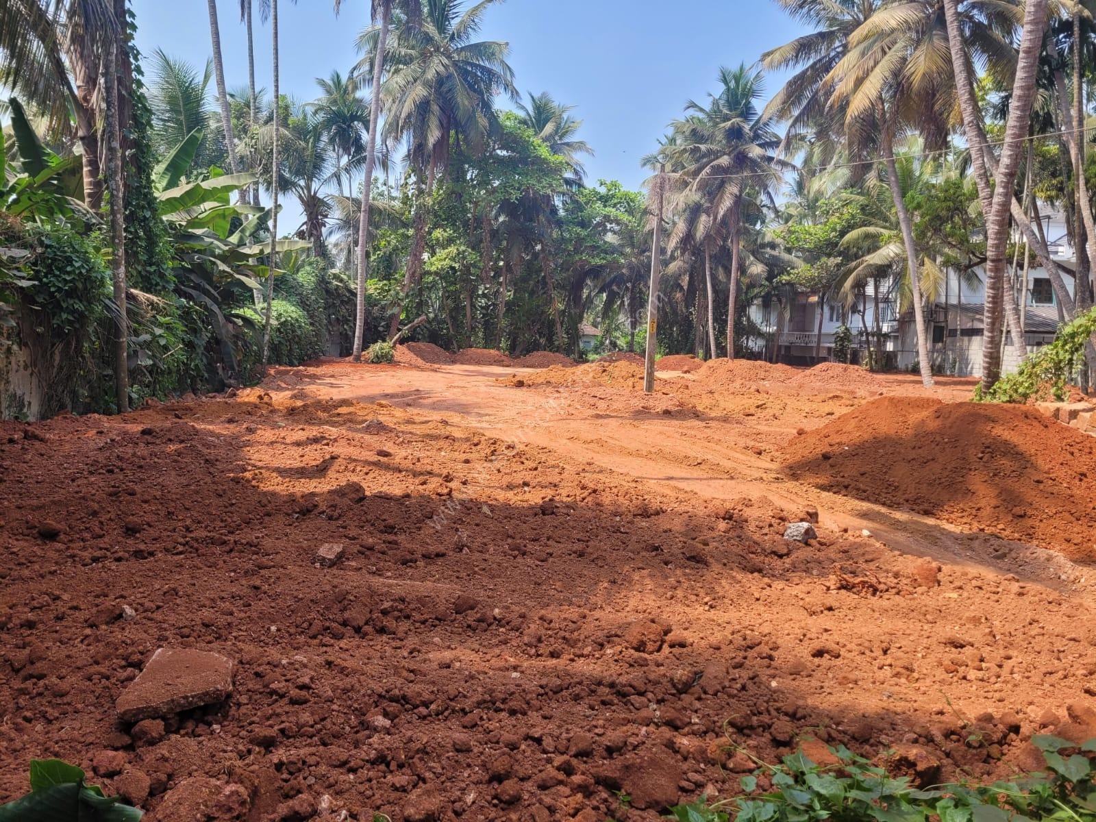 Residential & Commercial Plot nadakkavu