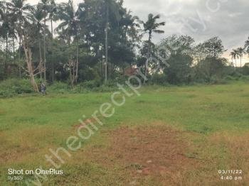Land for sale in Ernakulam