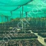 Commercial Land for sale at Thamarassery