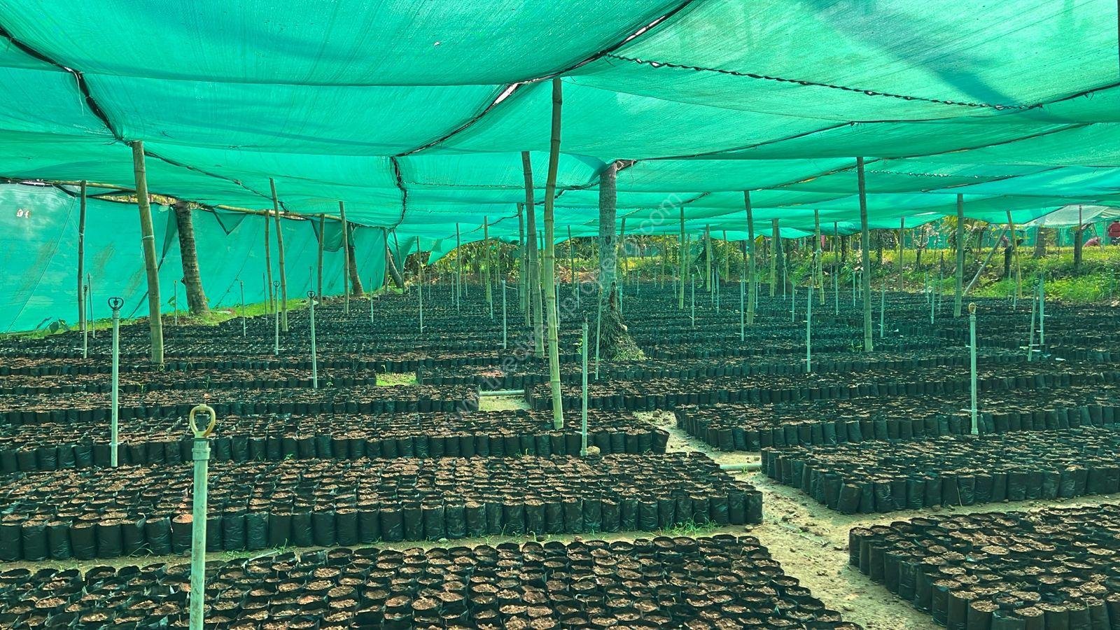 12-04-25 Commercial Land for sale at Thamarassery