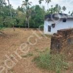 Plot for sale in Aloor panchayath