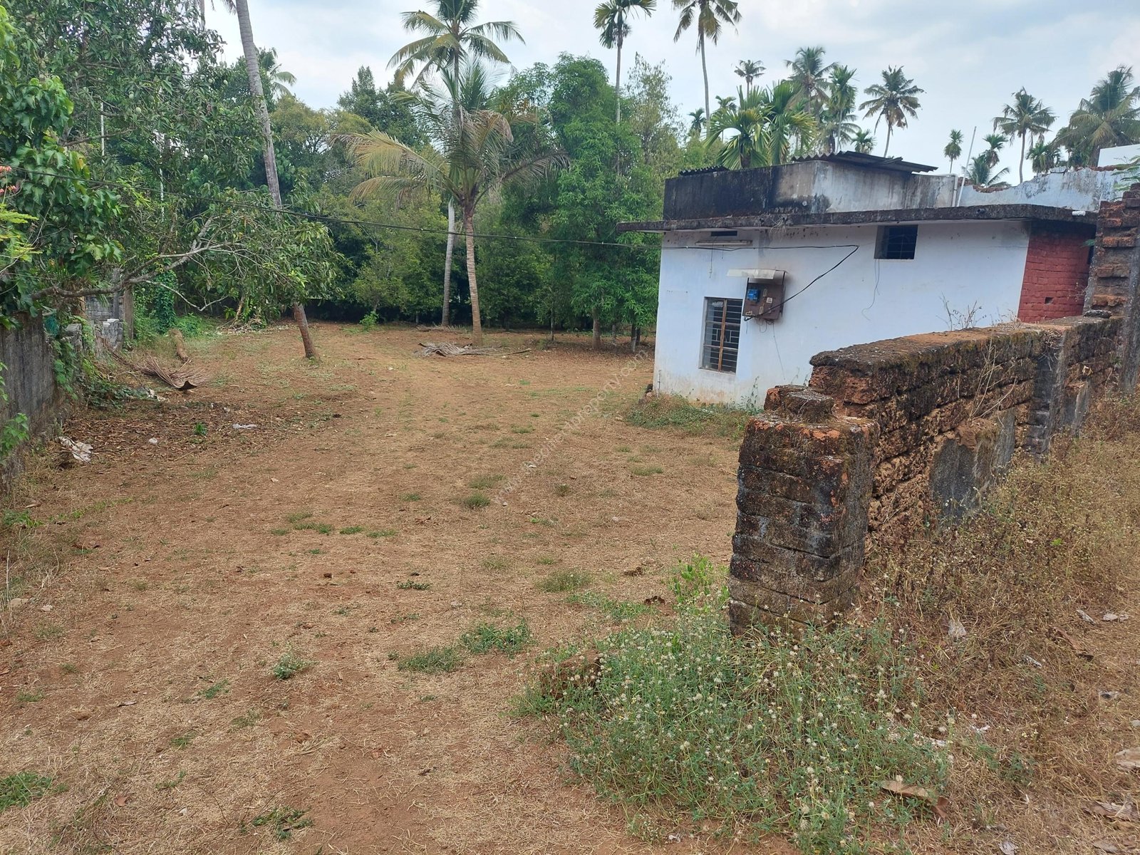 Plot for sale in Aloor panchayath