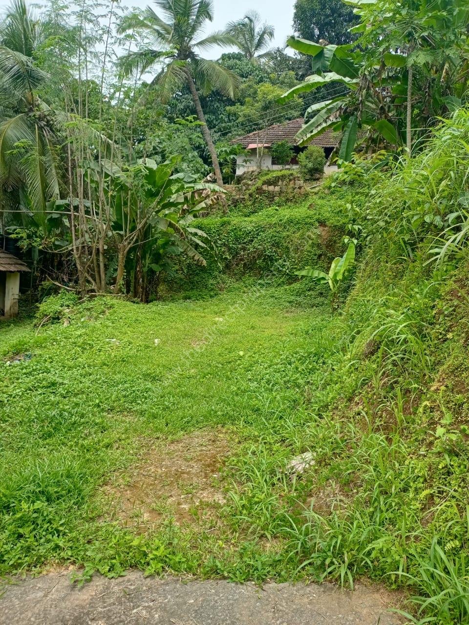 252b1bc3-02b7-4f49-9216-5fb16c596c48