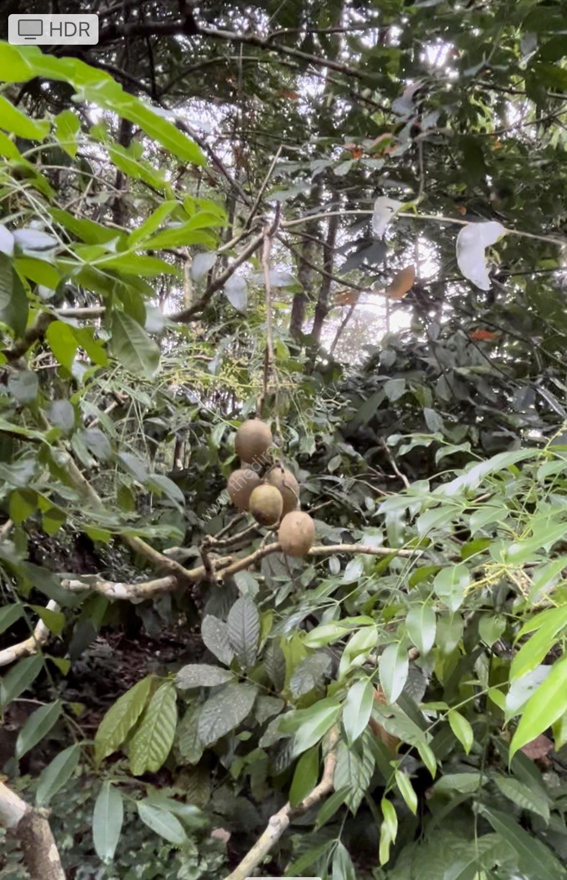 A4A532D3-81A0-4FA8-A0A2-1A2BD829D3E1