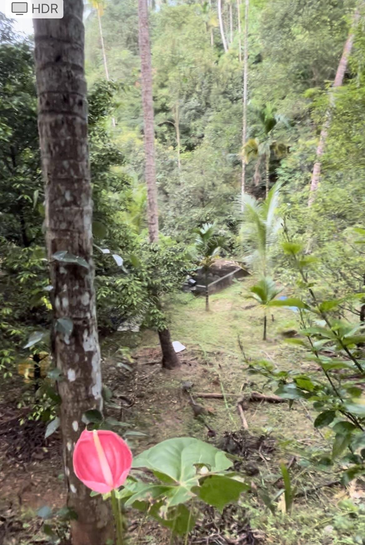 B6645594-8D8F-4FBF-B673-75D3AEAD4007