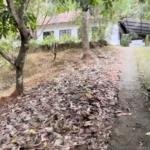 land for sale in Kodanchery