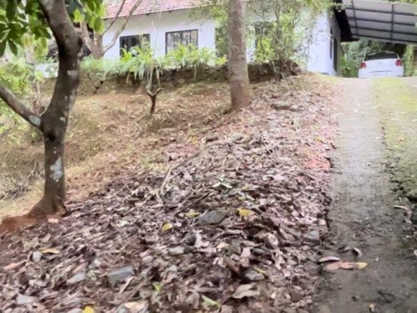 land for sale in Kodanchery