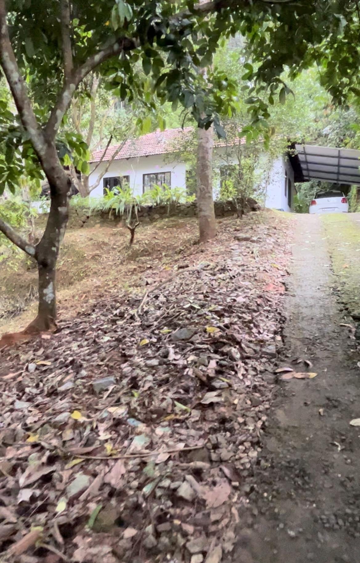 land for sale in Kodanchery